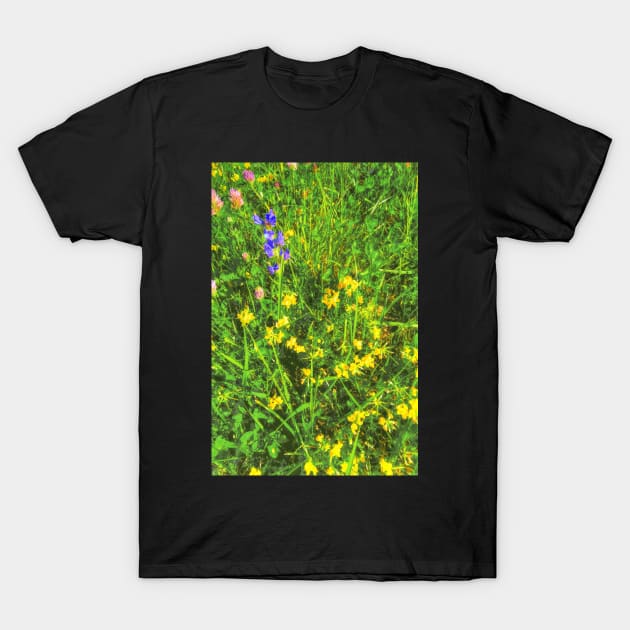 summer meadow T-Shirt by Hujer